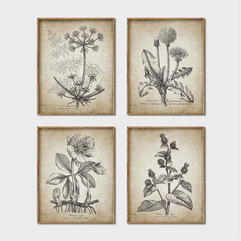 Live Plant Fertilizer - 装飾用のアンティークボタのポスターとプリント,素朴な農家の壁の芸術,リビングルームの絵,家の壁の装飾