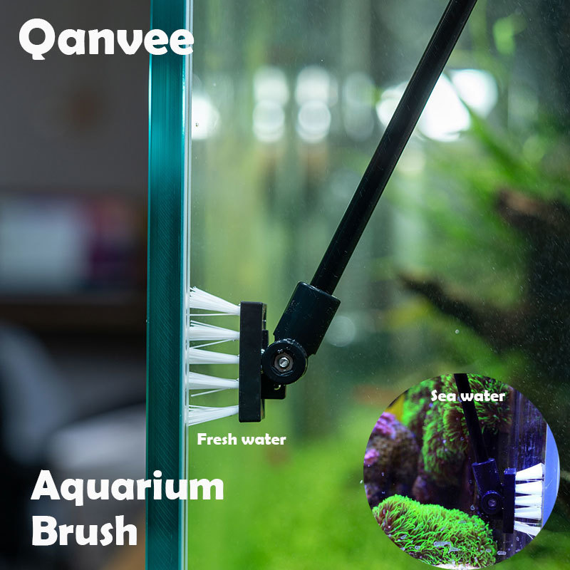 Algae Scraper Blade - 釣りクリーニングブラシ植物タンク新鮮な海水クリーニングツールエビ海水水族館アクセサリークリーナー洗濯タンク