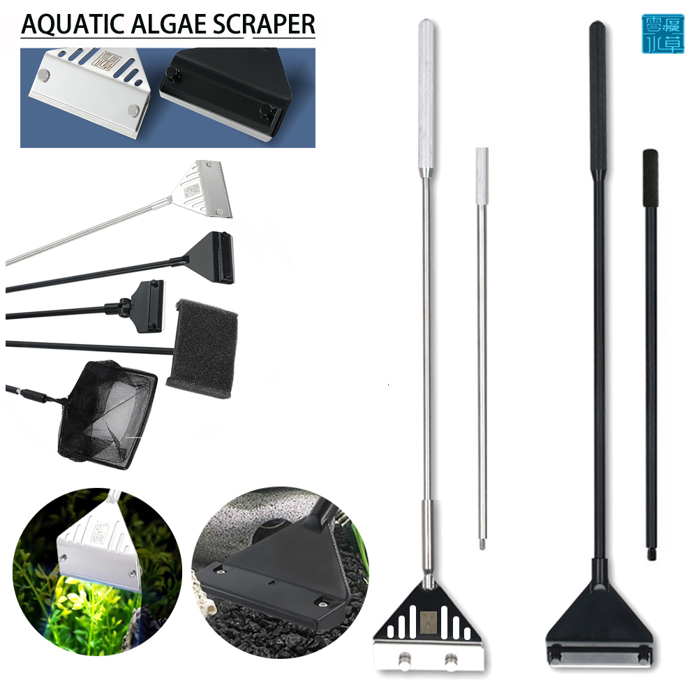 Algae Scraper Blade - ステンレス鋼の水族館スクレーパー,トルモイスチャライザー,リチウム植物,草の洗浄,マルチツール