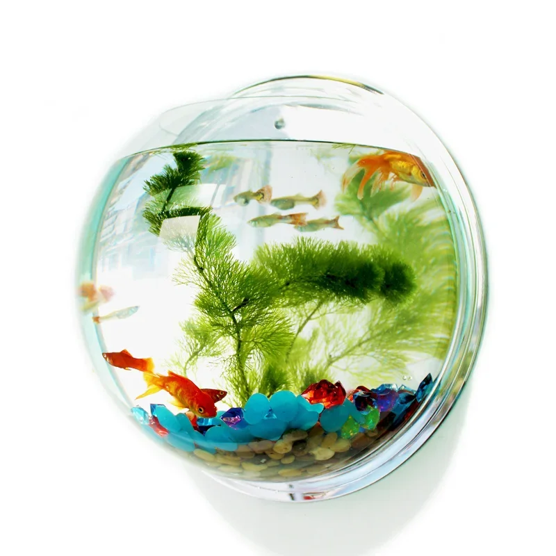Aquarium Fish Background - Pinsjar アクリル金魚鉢壁掛け水族館タンク水生ペット用品ペット製品壁掛け水槽ベタ魚用