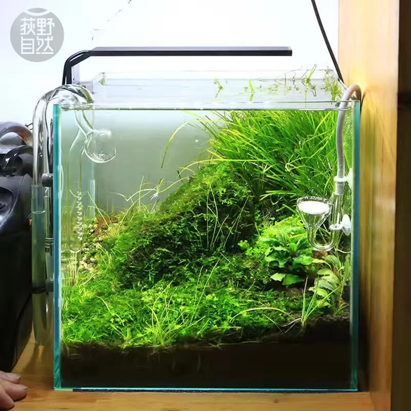 Aquarium Fish Background - Chihiros C シリーズ ADA スタイル植物成長 LED