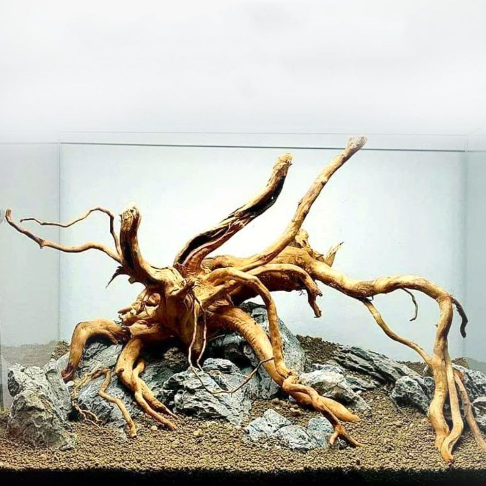 Aquarium Fish Background - 20-25CM大型水槽流木天然魚タンク植物装飾ツリーフィッシュボウル切り株水槽フィッシュタンク造園装飾ペット用