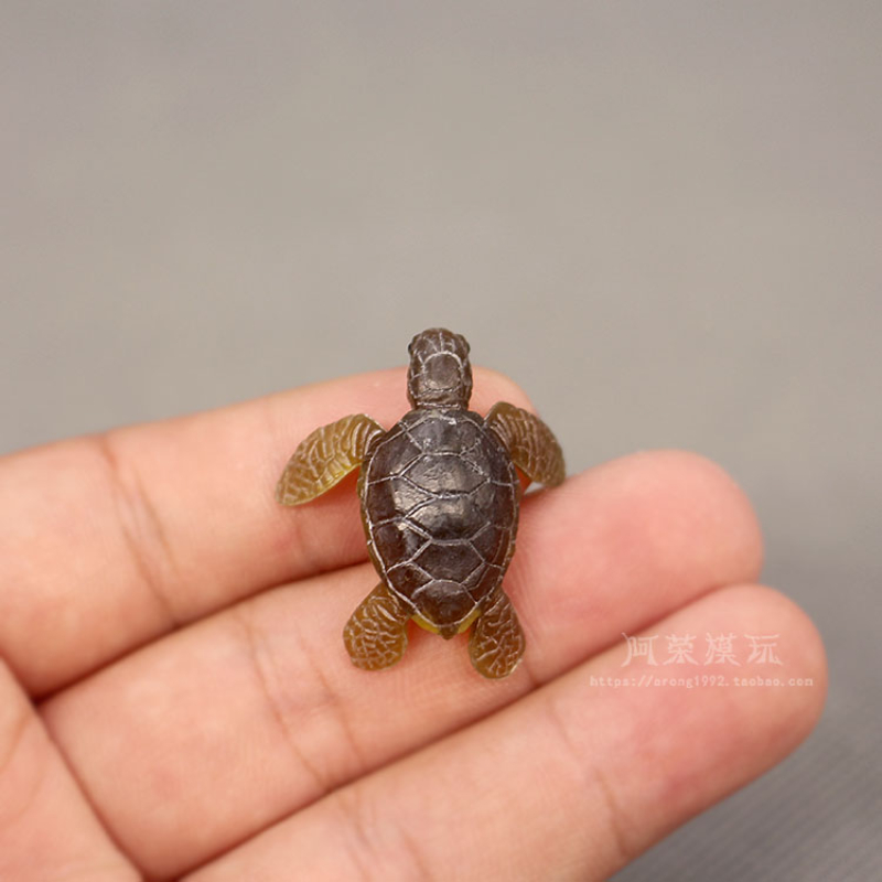 Aquarium Fish Japan - マリンライフ海の形をしたアクションフィギュア,装飾的なカメモデル,海の動物,かわいい,水族館のミニチュアアクセサリー