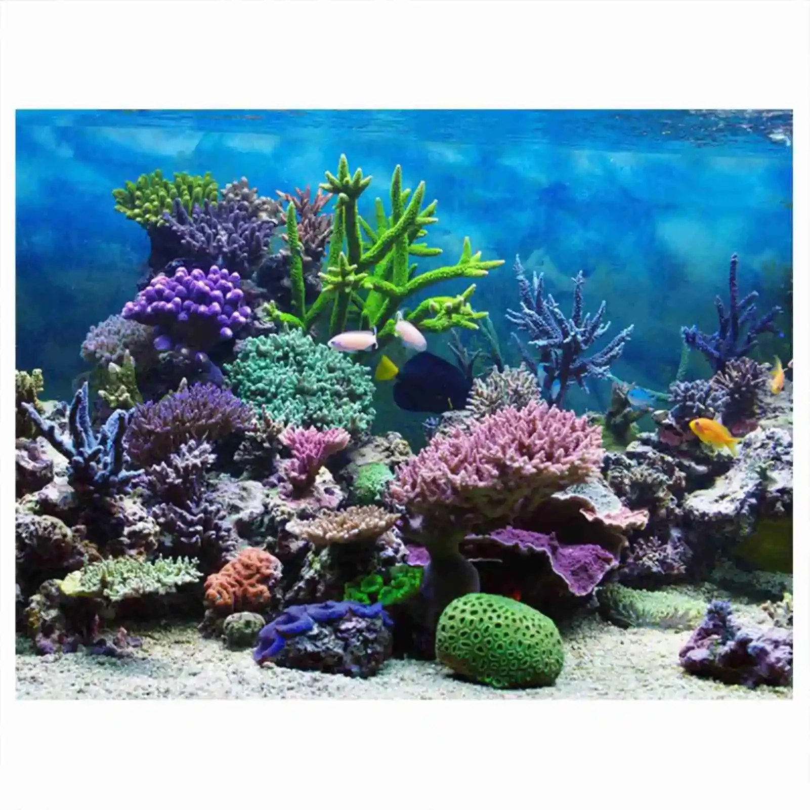 Aquarium Fish Background - 熱帯雨林の壁紙,水族館の背景,PVC装飾,3D風景HDポスター
