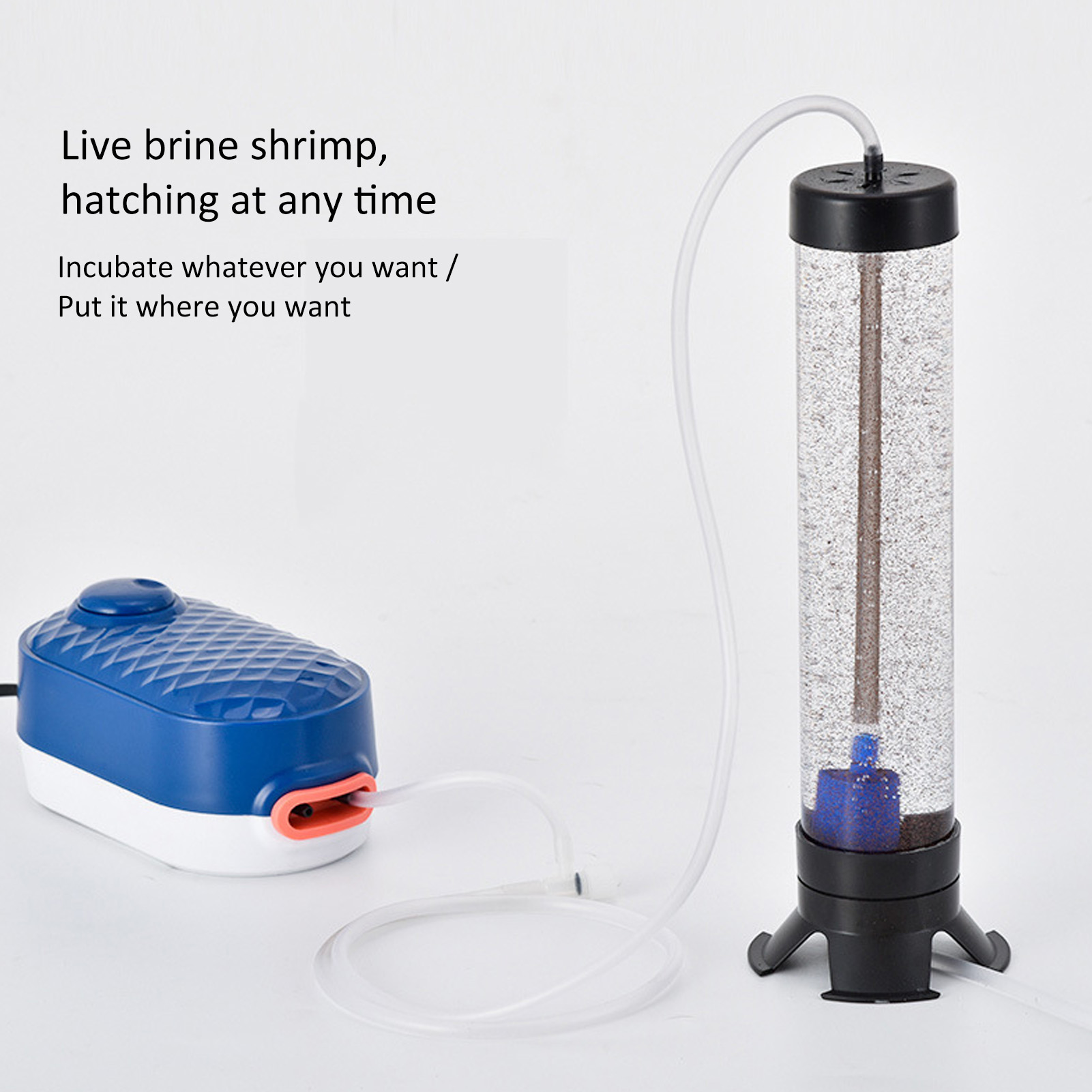 魚孵化ツールアルテミア卵孵化場キットエビインキュベーターエビ - Aquarium Fish Eggs のレビューと価格