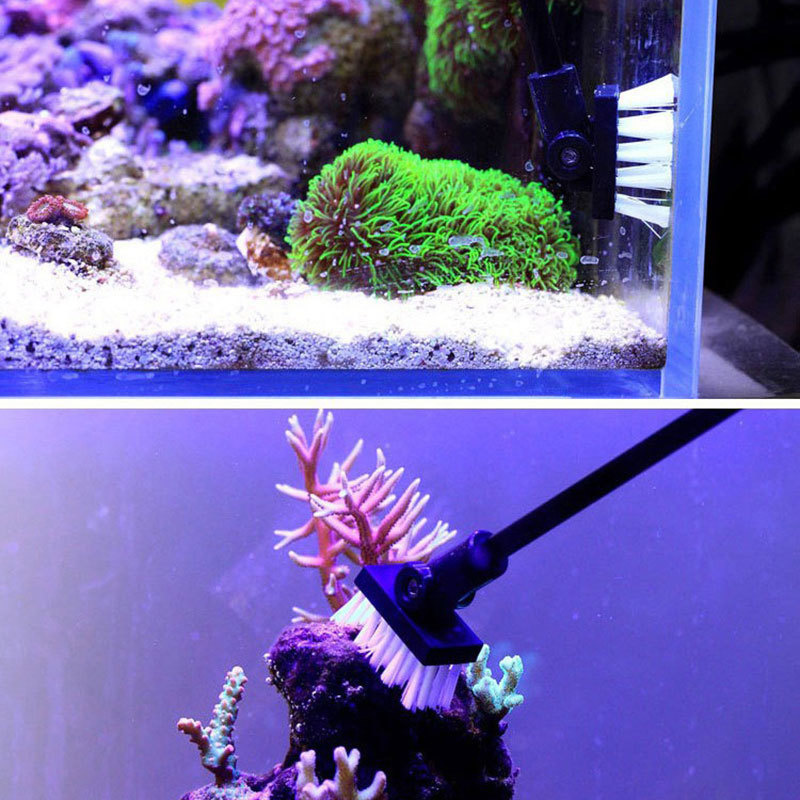 釣りクリーニングブラシ植物タンク新鮮な海水クリーニングツール - Algae Scraper Blade のレビューと価格