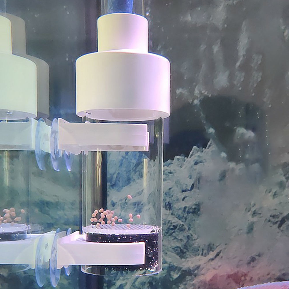 40mm インキュベーター 魚類孵化器 水槽 シクリッド孵化 - Aquarium Fish Eggs のレビューと価格