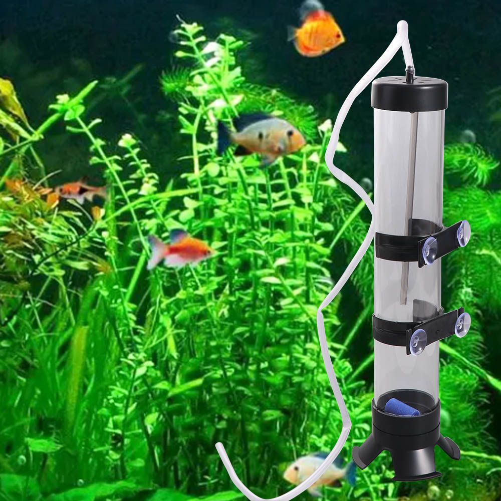 プラスチック製アルテミア卵孵卵器、取り外し可能なアルテミア孵 - Aquarium Fish Eggs のレビューと価格