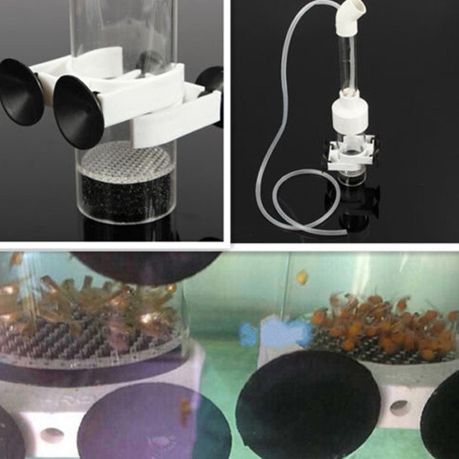卵孵化器 魚用アクリル孵化場ツール 水槽魚繁殖ボックス 淡水 - Aquarium Fish Eggs のレビューと価格