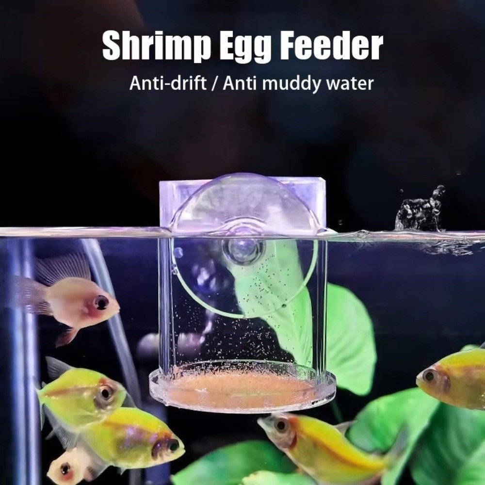 アクリル製ブラインシュリンプフィーダー固定点透明水槽給餌カッ - Aquarium Fish Eggs のレビューと価格