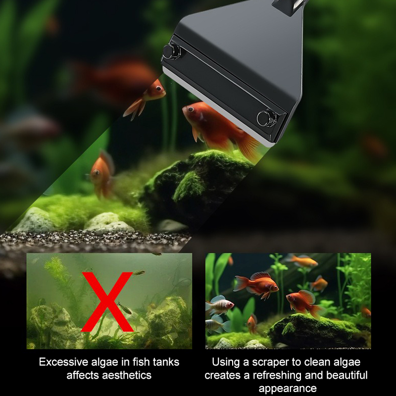 水族館藻類除去剤アルミ合金ステンレス鋼スクレーパーブレード水 - Algae Scraper Blade のレビューと価格