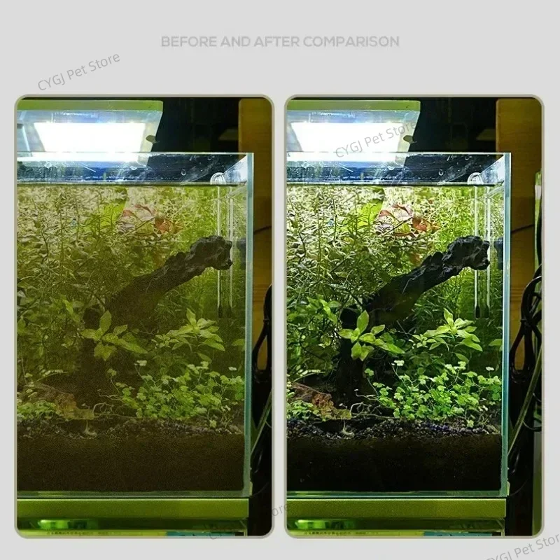 水槽クリーニングツールフラット砂藻類除去デュアルユースガラス - Algae Scraper Blade のレビューと価格