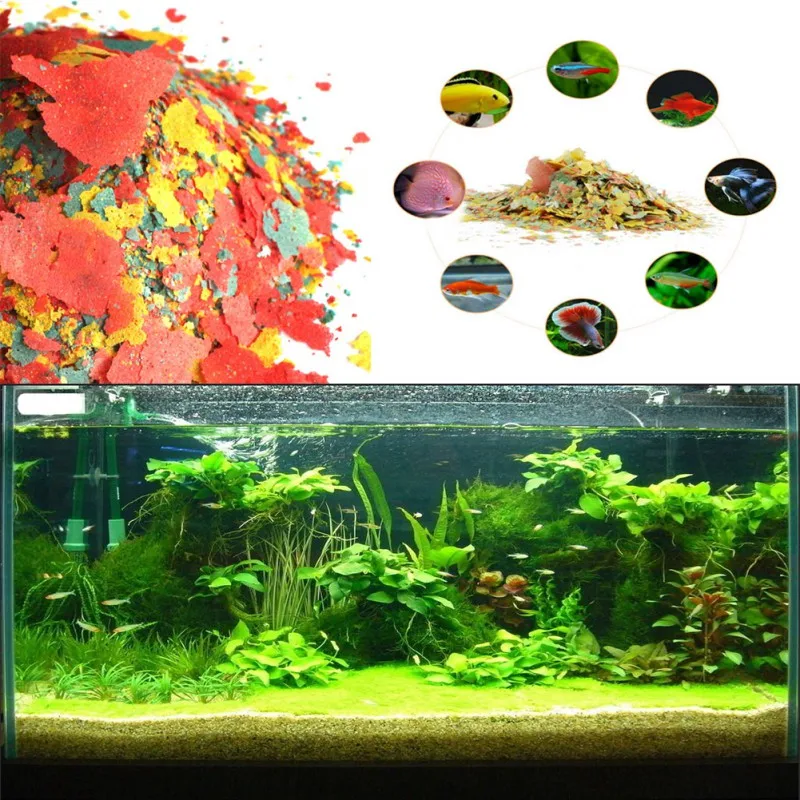 新しい健康魚用フードフレーク 魚用色素と輝きを与える飼料 高 - Fish Food Flake のレビューと価格