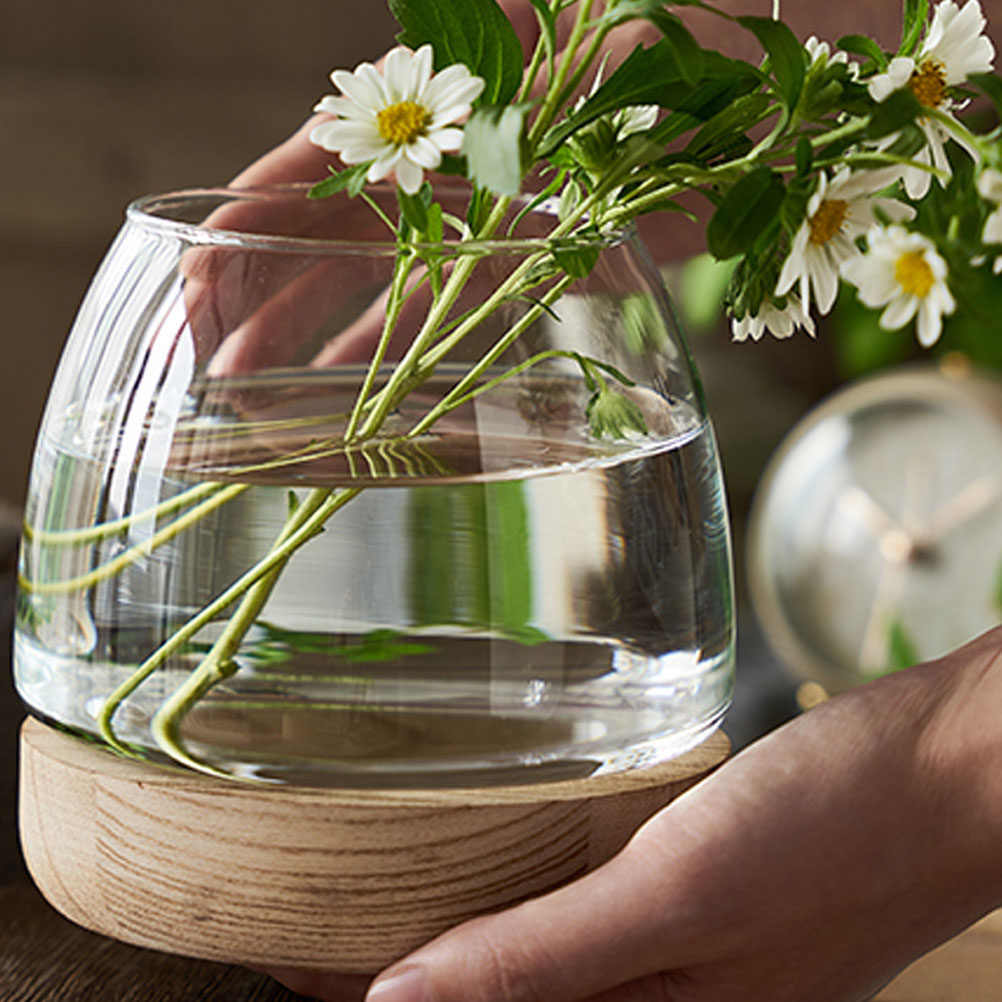 1セット 透明ガラス製水耕栽培植物テラリウム、天然木製ベース - Aquarium Fish Unique のレビューと価格