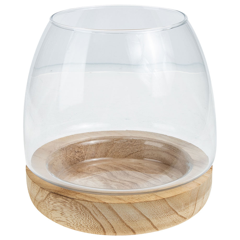 1セット 透明ガラス製水耕栽培植物テラリウム、天然木製ベース - Aquarium Fish Unique のレビューと価格