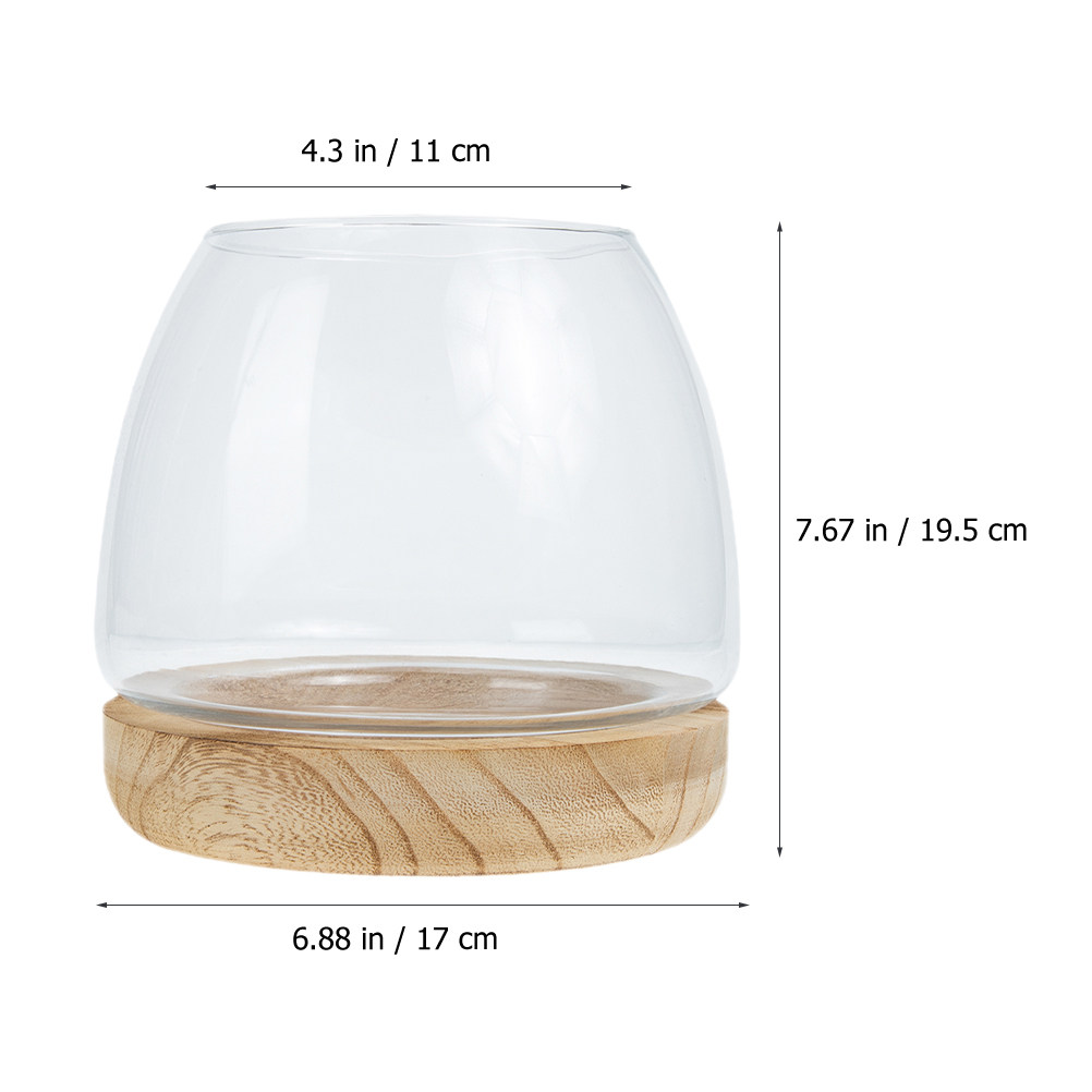 1セット 透明ガラス製水耕栽培植物テラリウム、天然木製ベース - Aquarium Fish Unique のレビューと価格