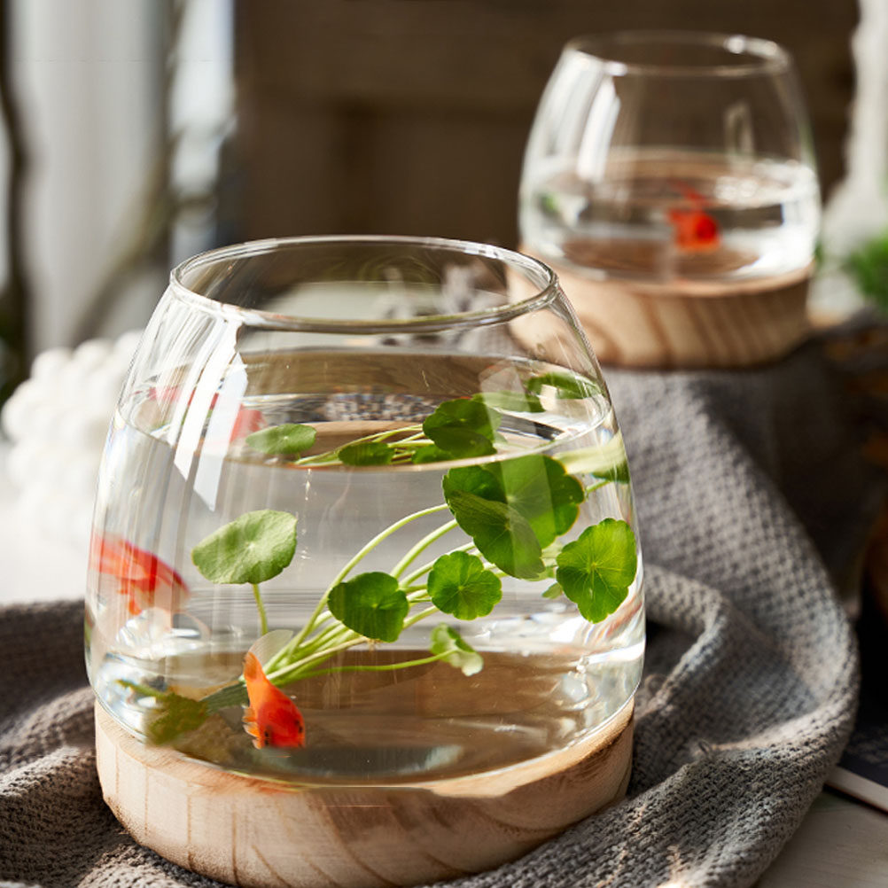 1セット 透明ガラス製水耕栽培植物テラリウム、天然木製ベース - Aquarium Fish Unique のレビューと価格