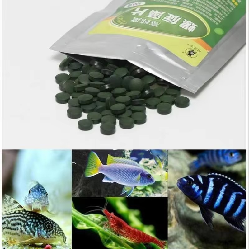 50/100/200/300個入り 水槽用魚のエサ 小魚用餌 - Fish Food Flake のレビューと価格