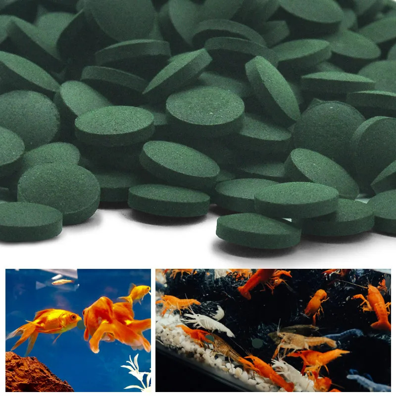 50/100/200/300個入り 水槽用魚のエサ 小魚用餌 - Fish Food Flake のレビューと価格