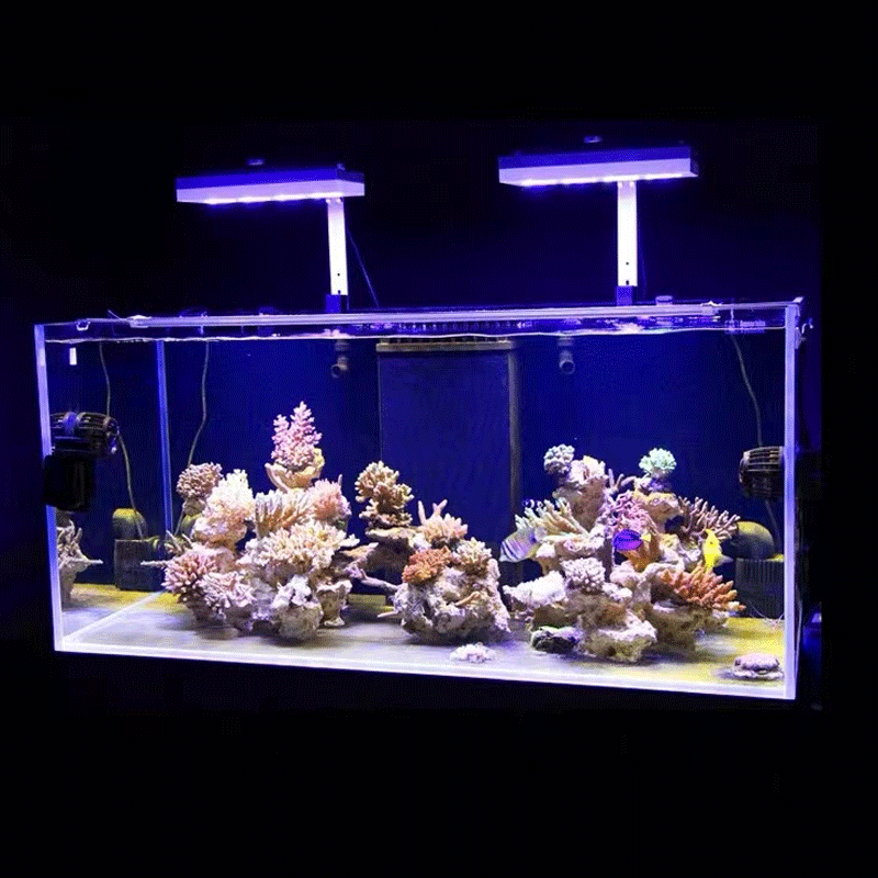 アクアイルミネーション AI ハイドラ 32HD/64HD  - Aquarium Fish Black のレビューと価格