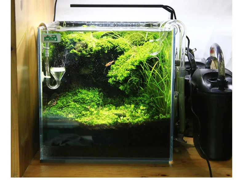 Chihiros C シリーズ ADA スタイル植物成長 L - Aquarium Fish Background のレビューと価格