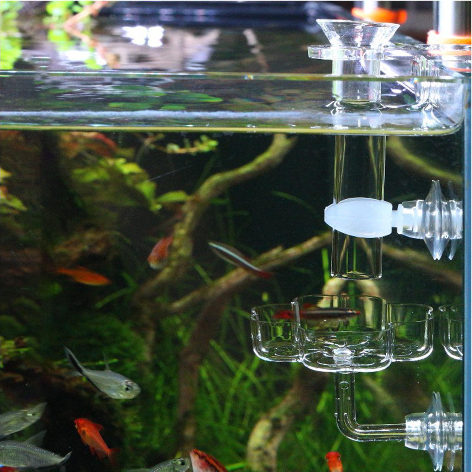 水槽フィーダー吸盤花型水槽フィーダートレイ透明な水槽用餌皿カ - Tetra Fish In Aquarium のレビューと価格