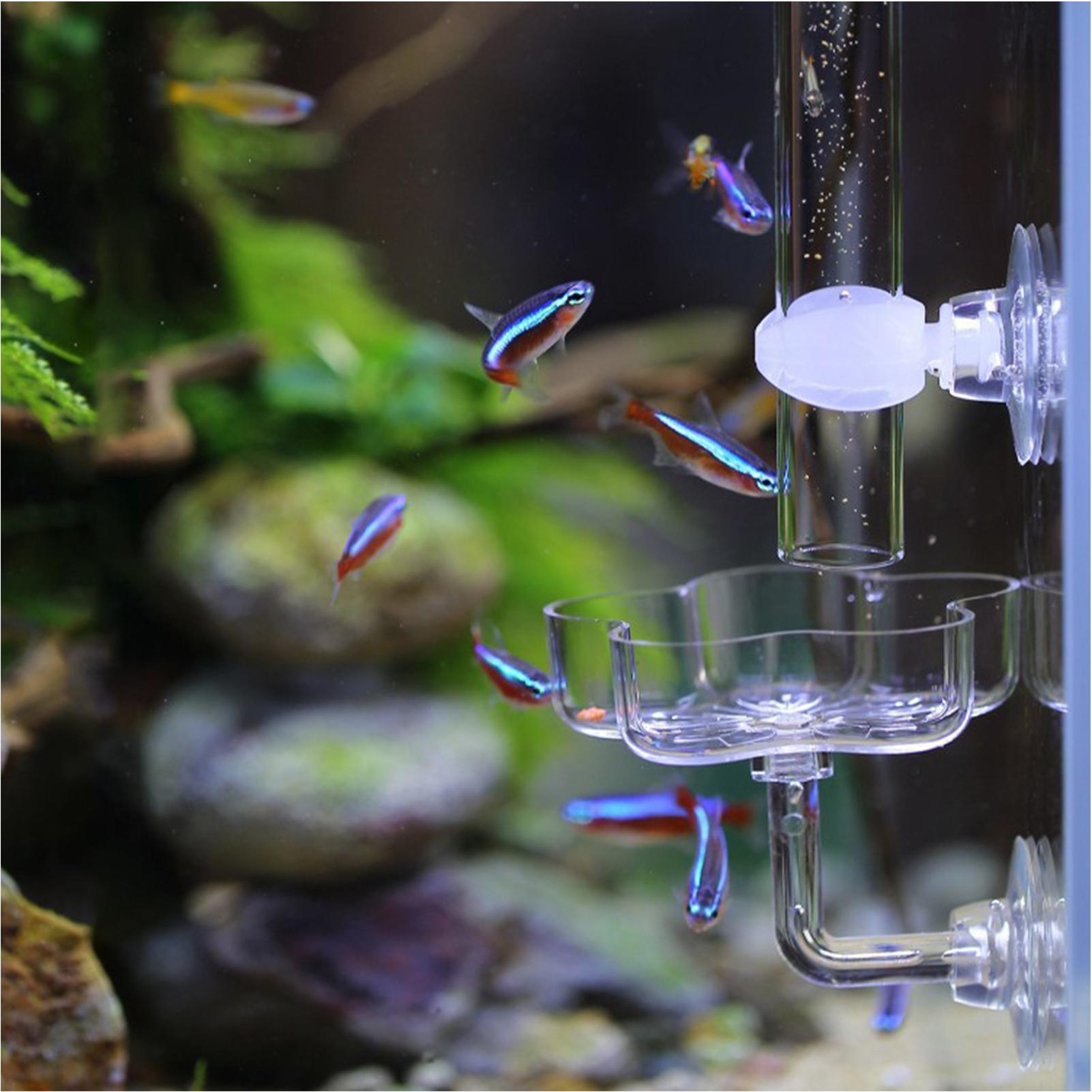 水槽フィーダー吸盤花型水槽フィーダートレイ透明な水槽用餌皿カ - Tetra Fish In Aquarium のレビューと価格