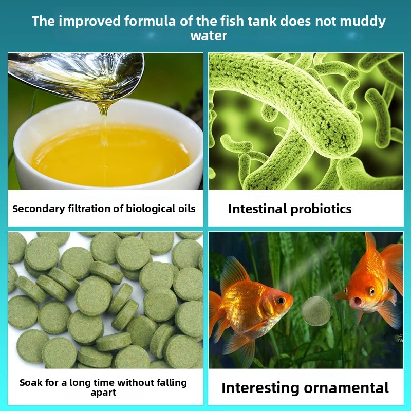 cmomo熱帯魚フード粘着パッド - グッピー、テトラ、金魚 - Tetra Fish In Aquarium のレビューと価格