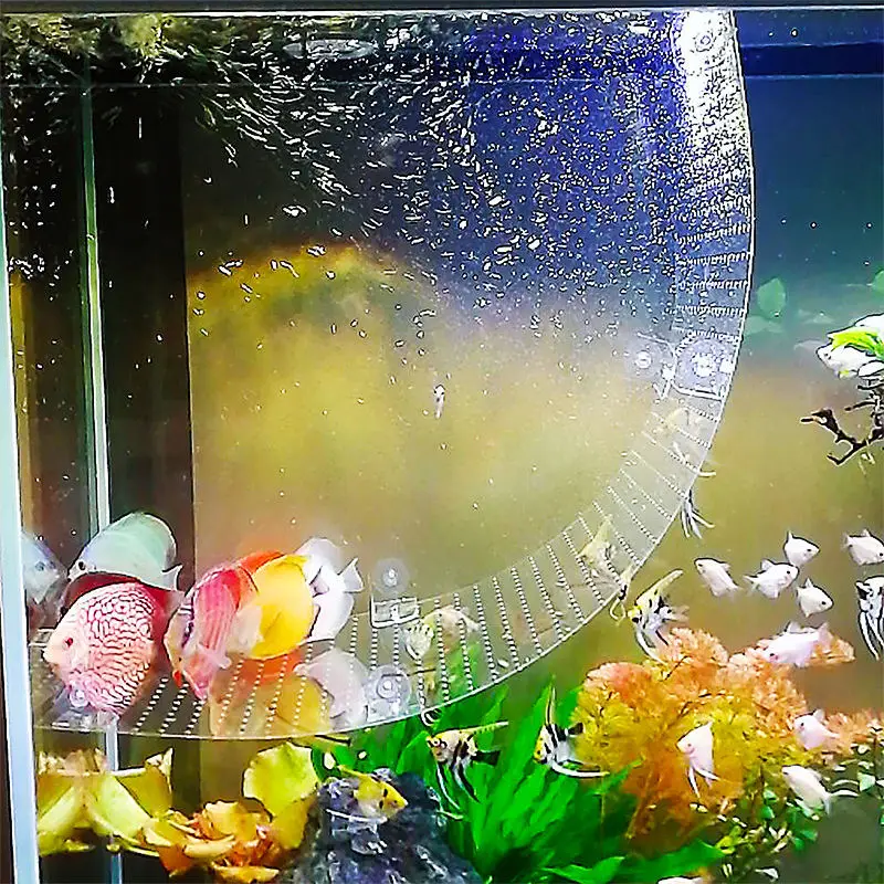 曲げ可能な隔壁フィッティング水槽隔離プレート自由にカット上下 - Aquarium Fish Background のレビューと価格