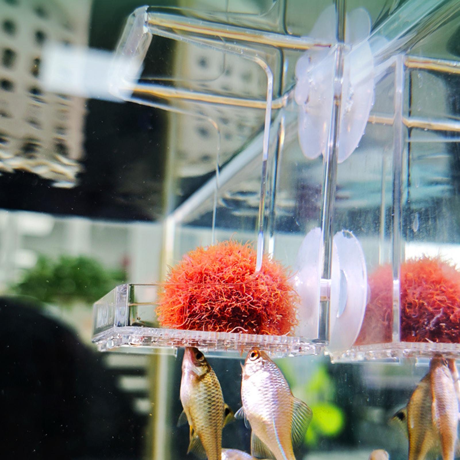 水族館フィーダー吸盤水族館フィーダートレイ水槽フードトレイカ - Tetra Fish In Aquarium のレビューと価格