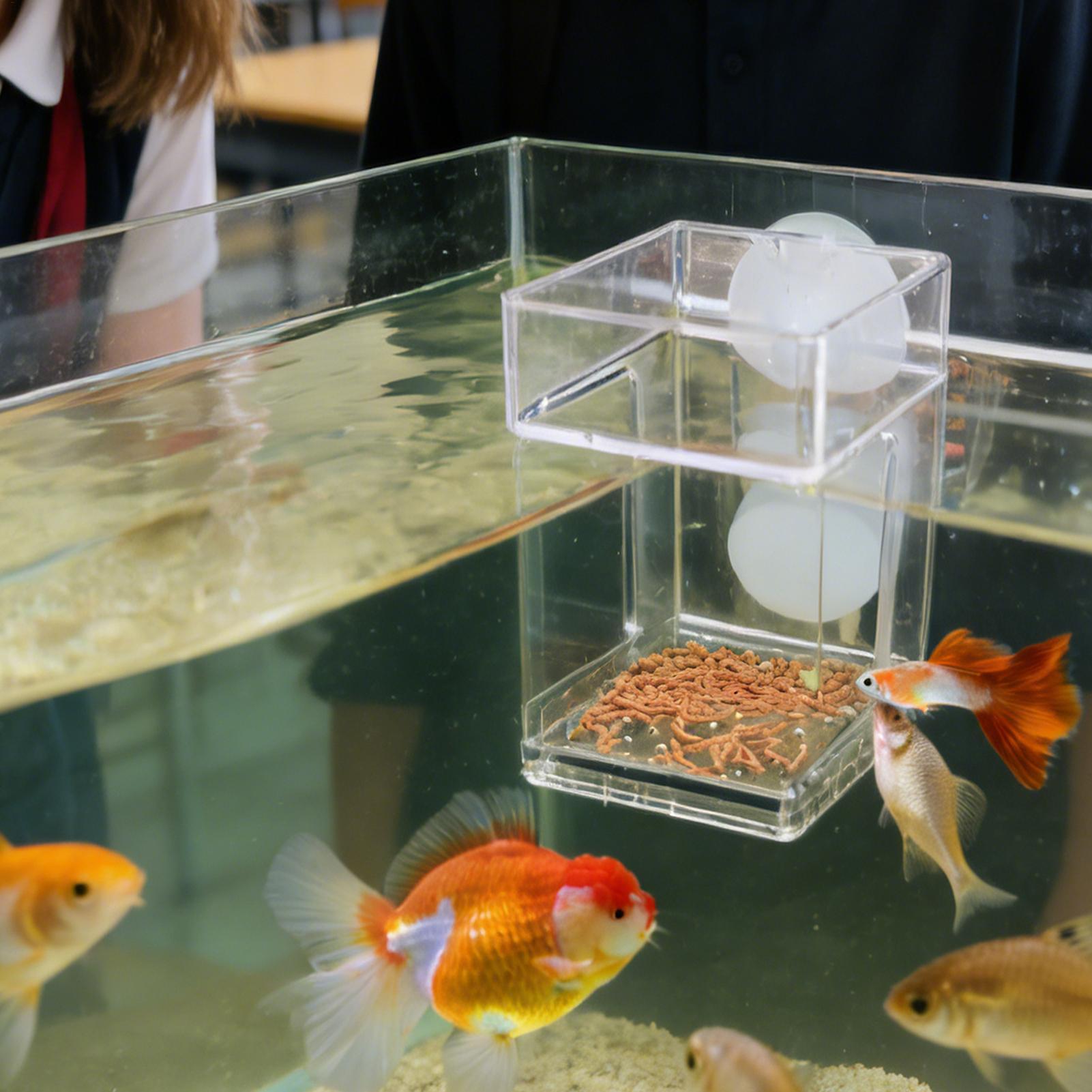 水族館フィーダー吸盤水族館フィーダートレイ水槽フードトレイカ - Tetra Fish In Aquarium のレビューと価格