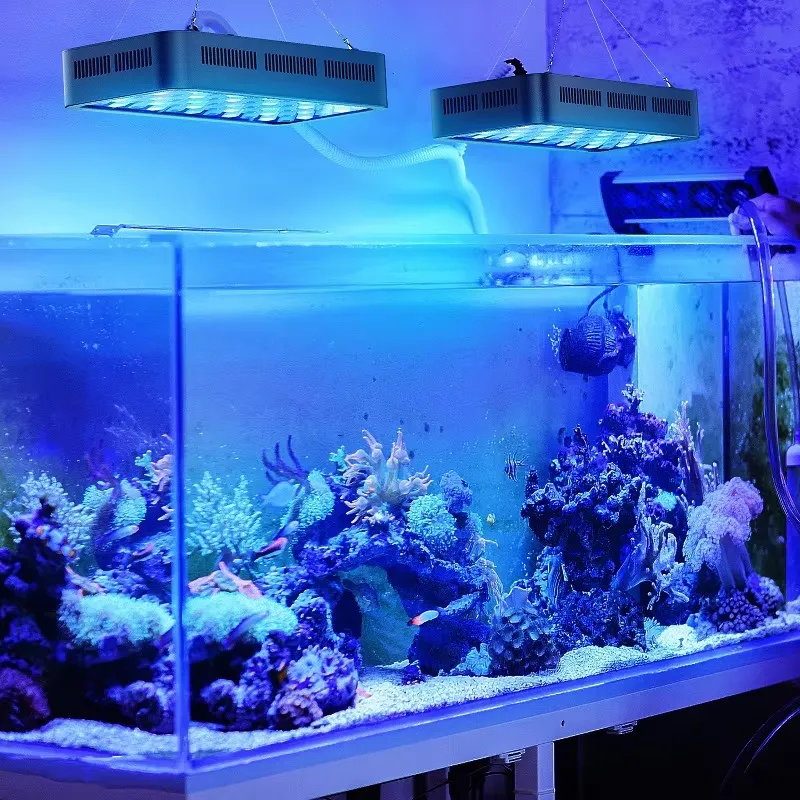 WiFiアプリ制御 サンゴ礁165w調光可能 3チャンネル5 - Aquarium Fish App のレビューと価格