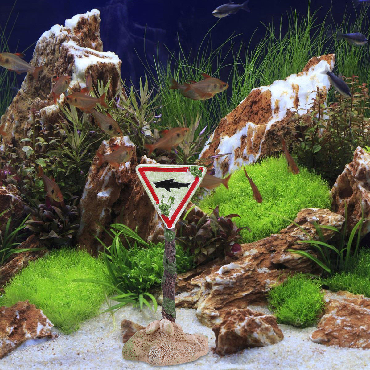 漫画樹脂製水槽警告標識水族館装飾品ユニークで鮮やかなデザイン - Aquarium Fish Unique のレビューと価格