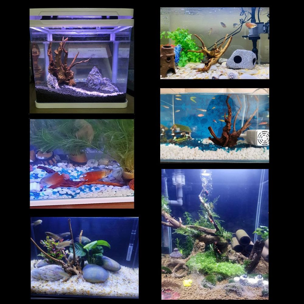 20-25CM大型水槽流木天然魚タンク植物装飾ツリーフィッシ - Aquarium Fish Background のレビューと価格
