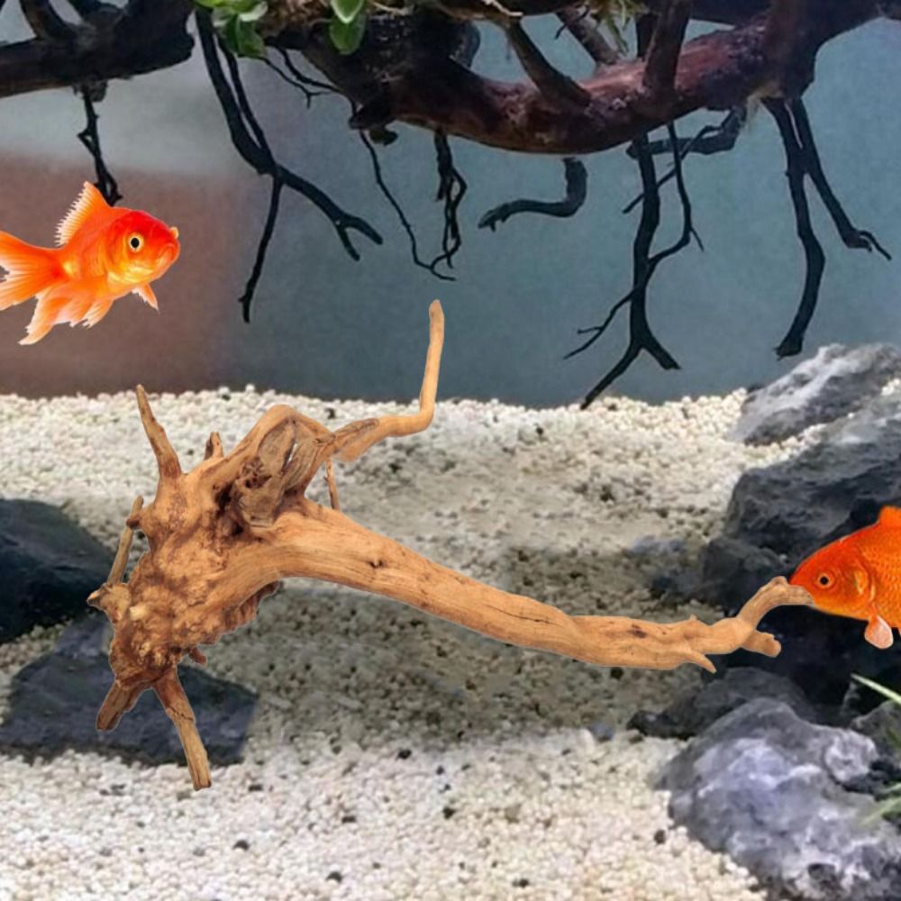 20-25CM大型水槽流木天然魚タンク植物装飾ツリーフィッシ - Aquarium Fish Background のレビューと価格