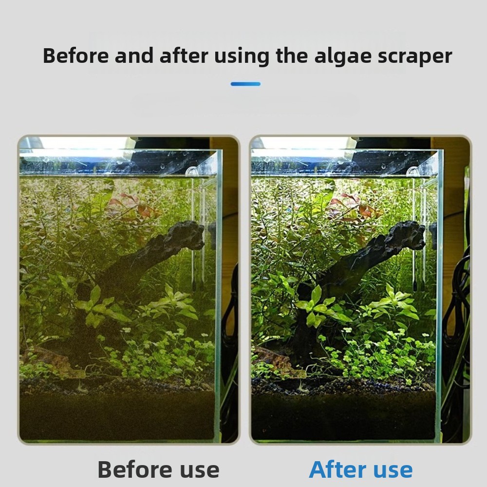 二重目的水槽藻類除去器ガラス清掃ツール、砂均しブレード付き、 - Algae Scraper Blade のレビューと価格
