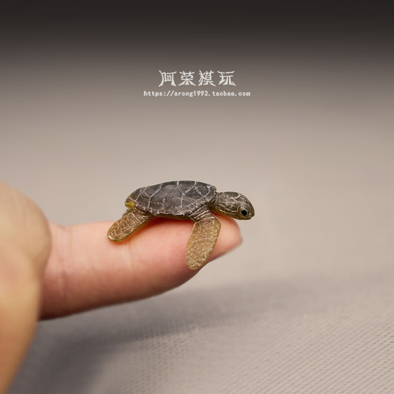 マリンライフ海の形をしたアクションフィギュア,装飾的なカメモ - Aquarium Fish Japan のレビューと価格