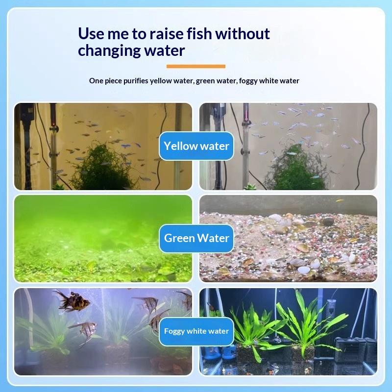 水槽藻類除去タブレット 水が濁らない 速効性藻類除去剤 緑・ - Aquarium Fish Black のレビューと価格