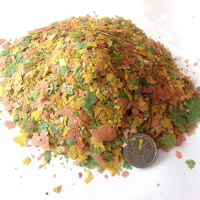2026年産新鮮熱帯魚用フレークフード 100g AF バル - Fish Food Flake のレビューと価格
