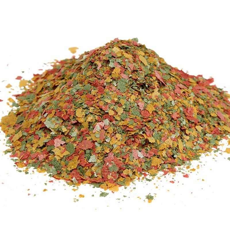 2026年産新鮮熱帯魚用フレークフード 100g AF バル - Fish Food Flake のレビューと価格