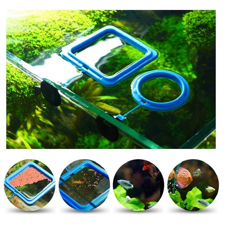 魚の餌を作るための釣り道具,魚を捕まえるためのミニアクセサリ - Tetra Fish In Aquarium のレビューと価格