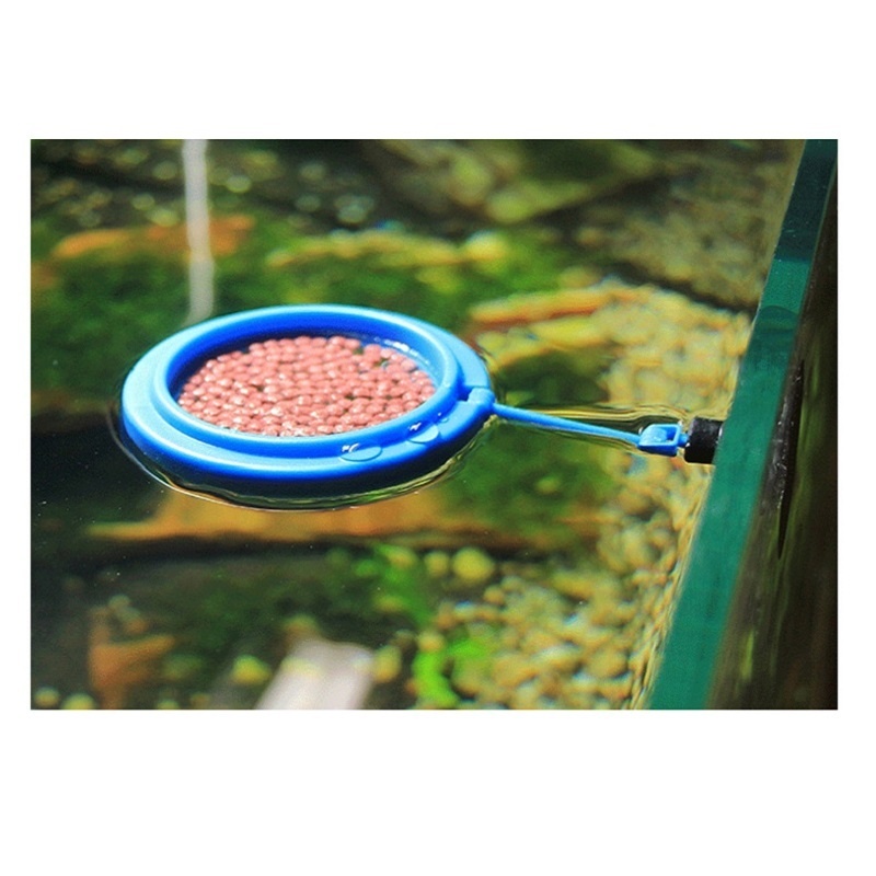 魚の餌を作るための釣り道具,魚を捕まえるためのミニアクセサリ - Tetra Fish In Aquarium のレビューと価格