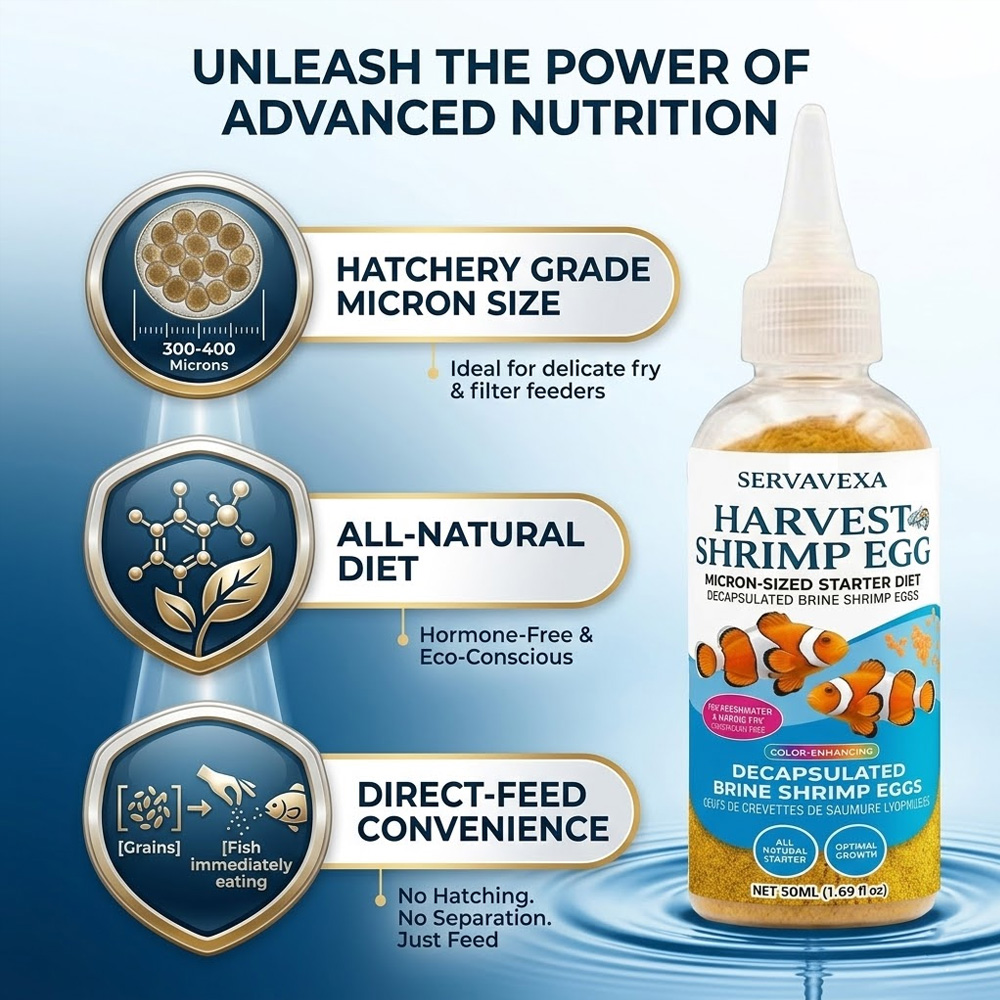ベタ・グッピー稚魚用高タンパク質魚飼料 プレミアム水槽用飼料 - Aquarium Fish Eggs のレビューと価格