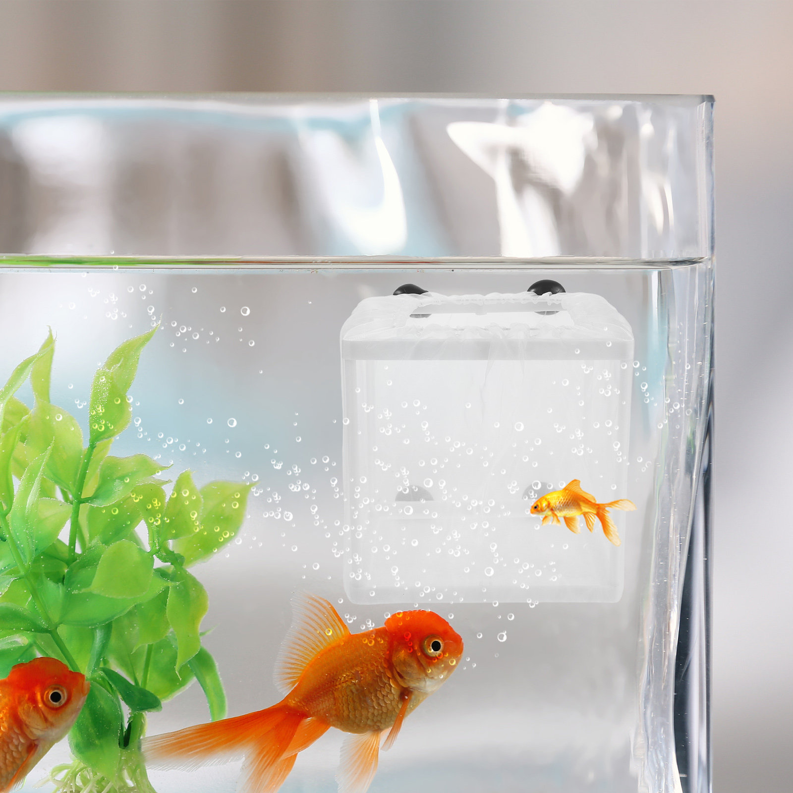 2個入り魚繁殖ボックス水槽用浮遊隔離室通気性メッシュネット稚 - Aquarium Fish Eggs のレビューと価格