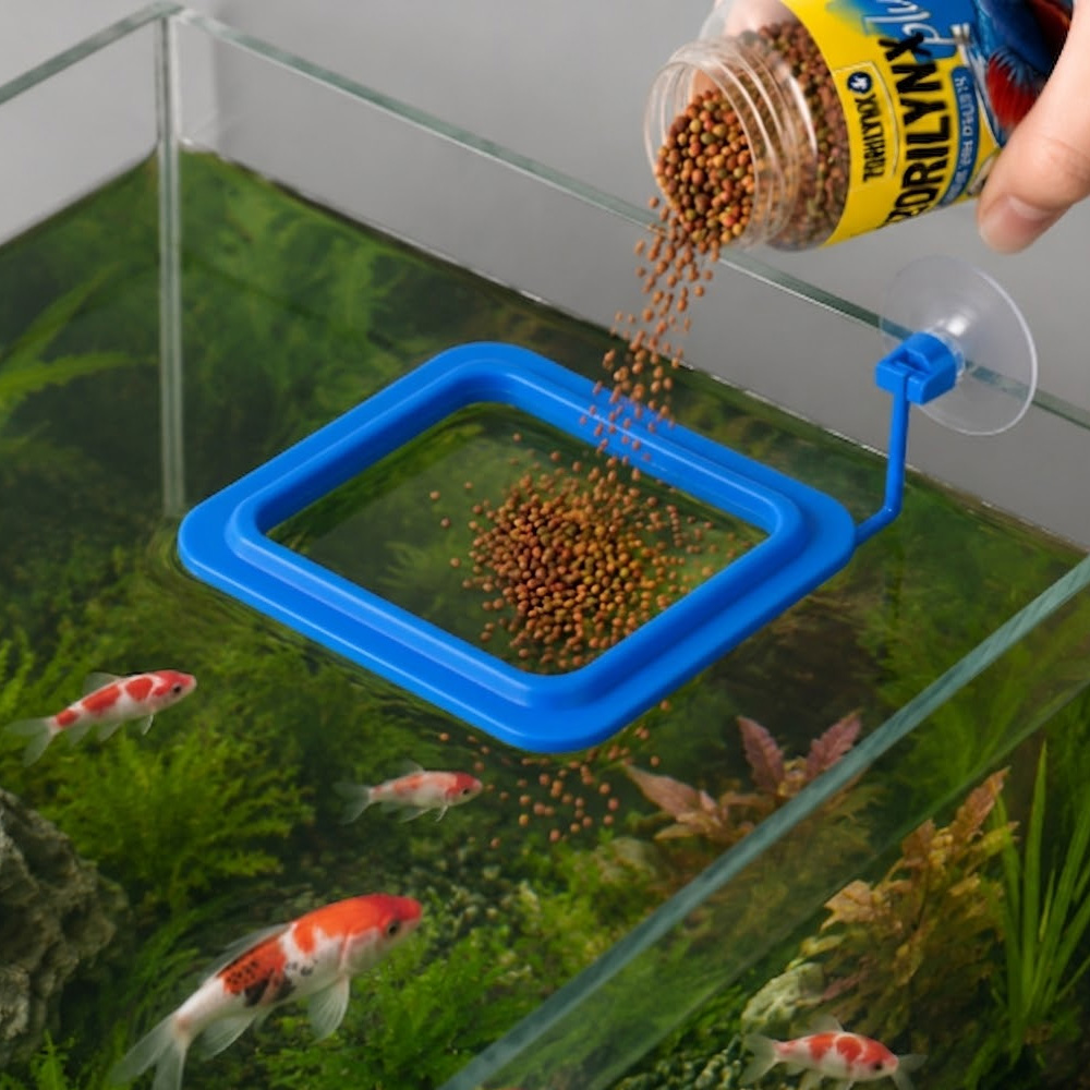 ベタ金魚熱帯魚用の浮遊給餌リングキット付き魚用ペレット栄養色 - Fish Food Flake のレビューと価格