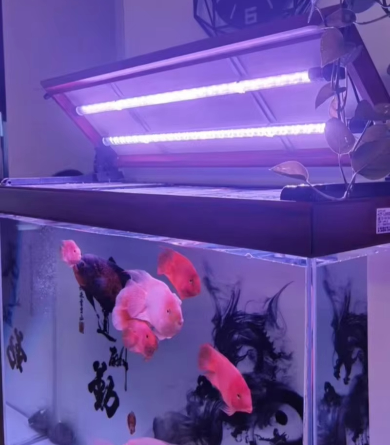 水族館 LED ライトバーマルチカラー水槽ライト 36/48 - Aquarium Fish Lamp のレビューと価格