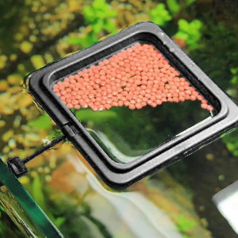 黒色水槽給餌リング水槽フローティングフードトレイフィーダー正 - Aquarium Fish Black のレビューと価格