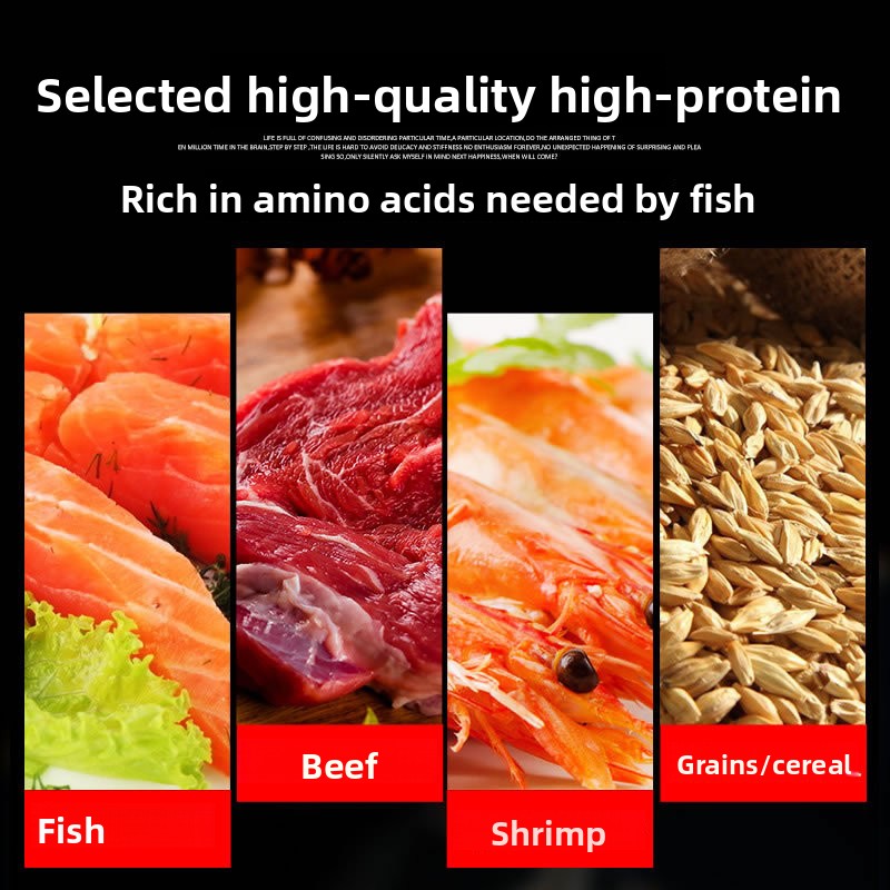 サンサン 錦鯉 観賞魚 金魚用飼料 高スピルリナ配合 色彩強 - Fish Food Flake のレビューと価格